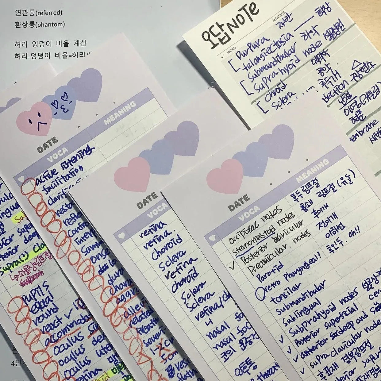Vertical double-sided B5 half-size notepad for English vocabulary learning in blue, pink, or purple