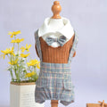 Orange and dark blue woven cotton dog shirt for small breeds in S to 2XL sizes