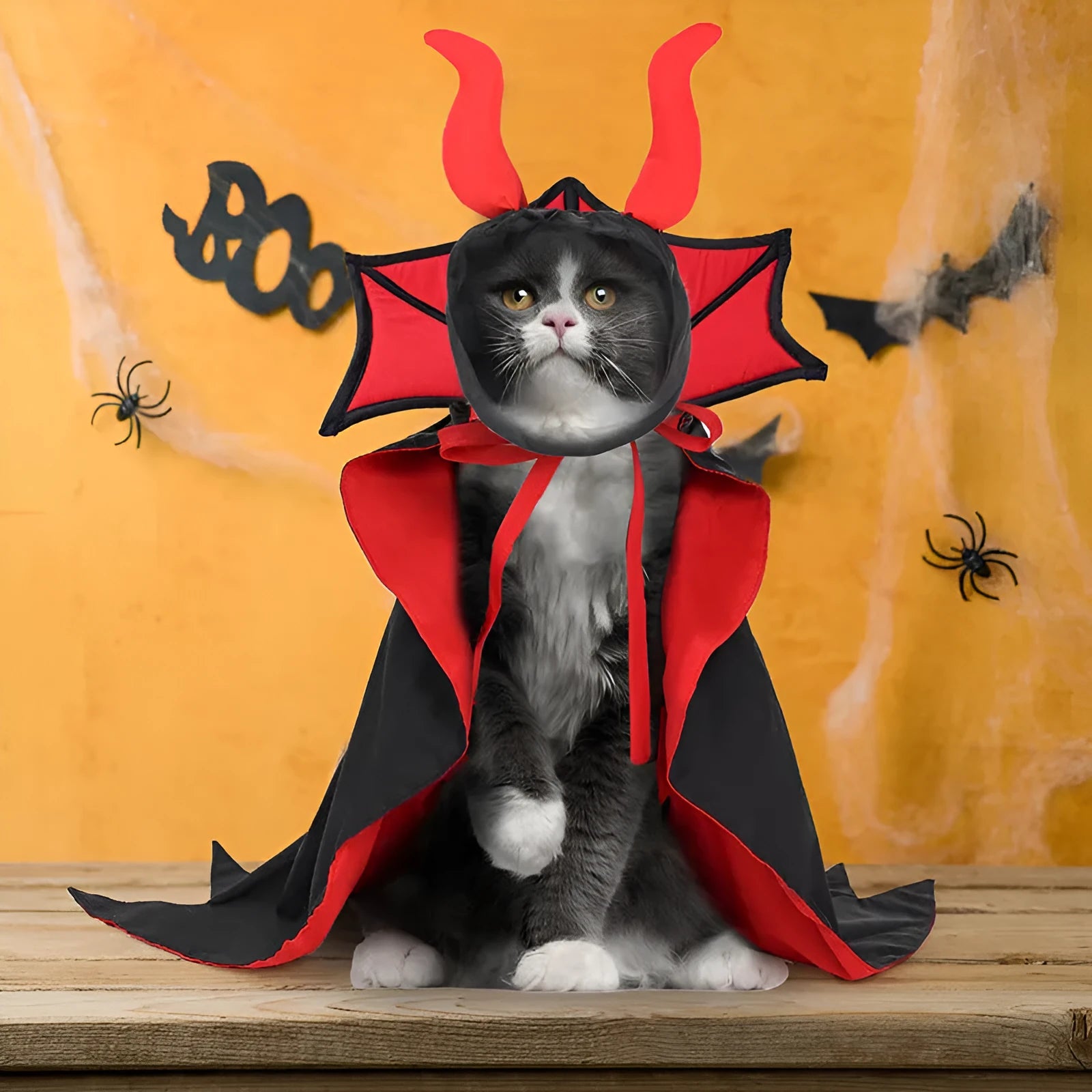 Black polyester vampire cloak and hat costume set for pets on Halloween