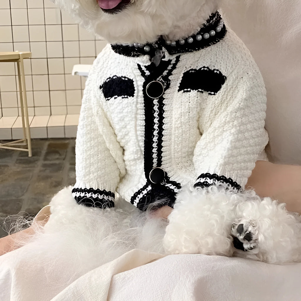 Korean style dog sweater with pearl collar in classic black colour on small breed pet