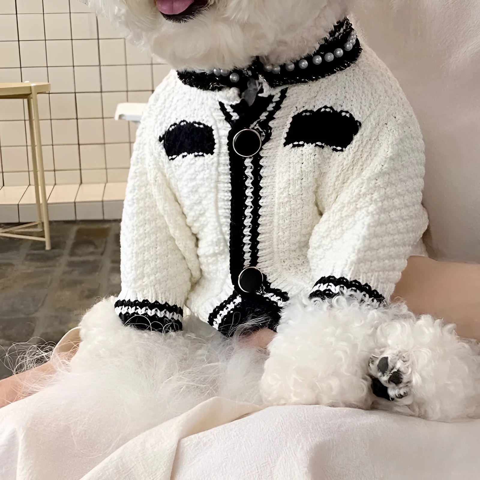 Korean style dog sweater with pearl collar in classic black colour on small breed pet