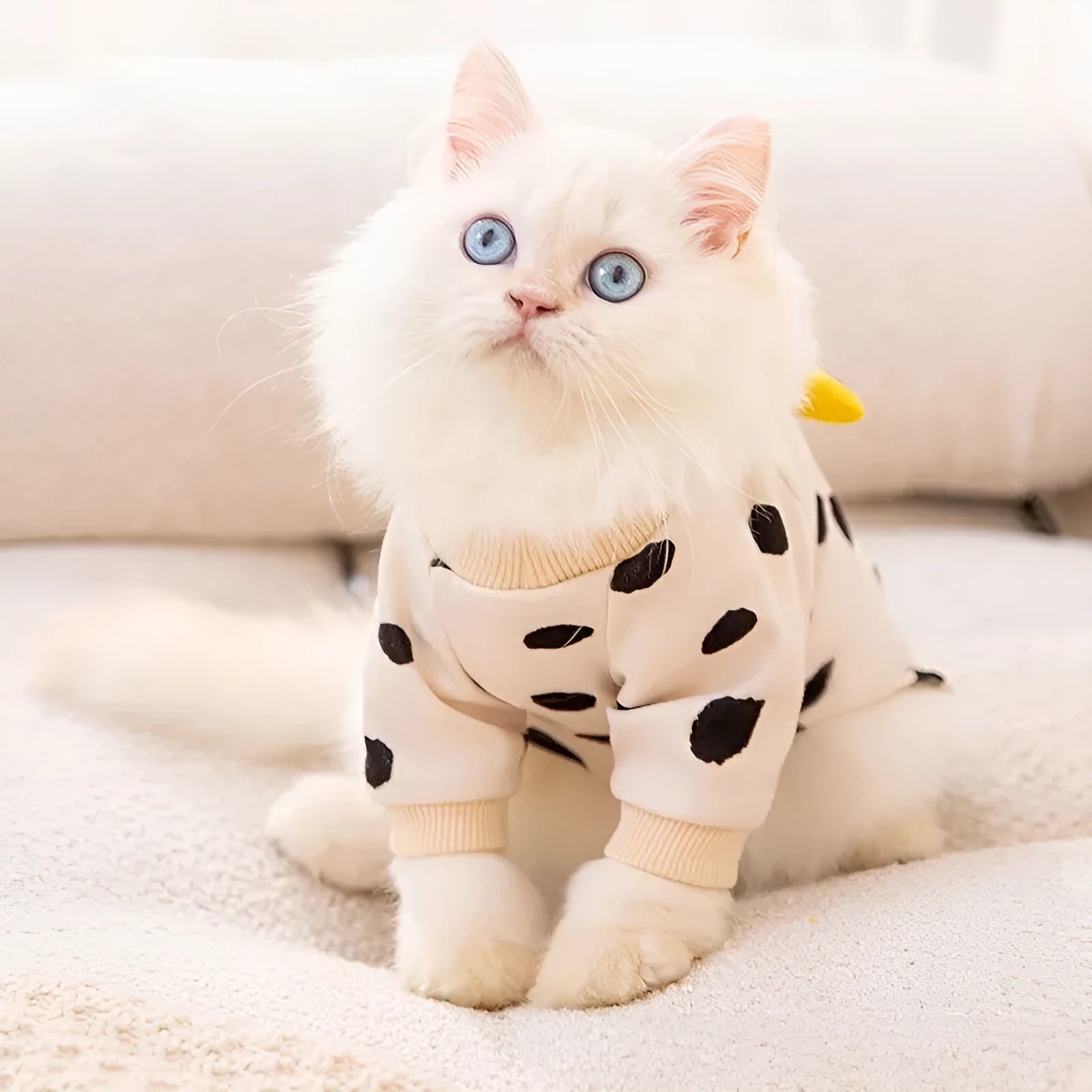 Cute kitty wearing an anti-lint Dralon pet coat in white polka dot banana design