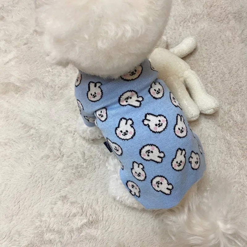 Small dog wearing a blue knitted sweater with charming pattern, warm soft polyacrylic material