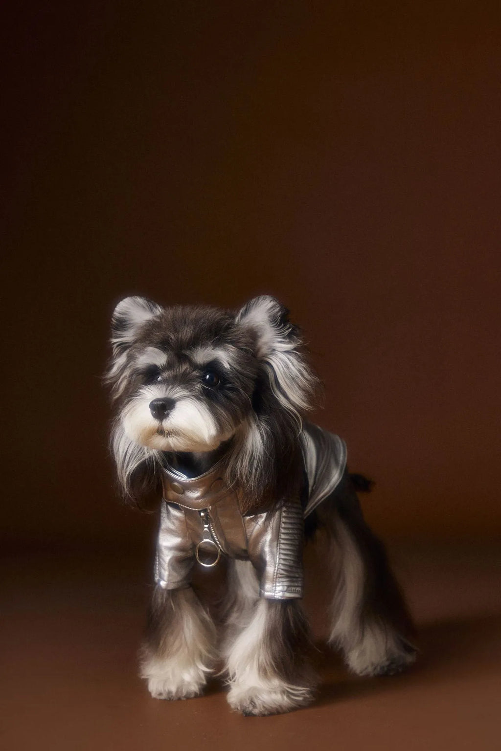 Distressed silver leather pet coat on a dog, size XS to XXL, 50% PU 50% viscose