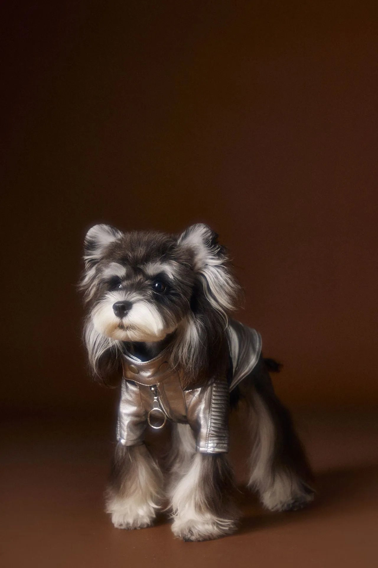 Distressed silver leather pet coat on a dog, size XS to XXL, 50% PU 50% viscose