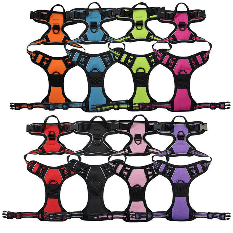 Nylon dog chest and back rope in multiple colours with hand holding loop for walking training