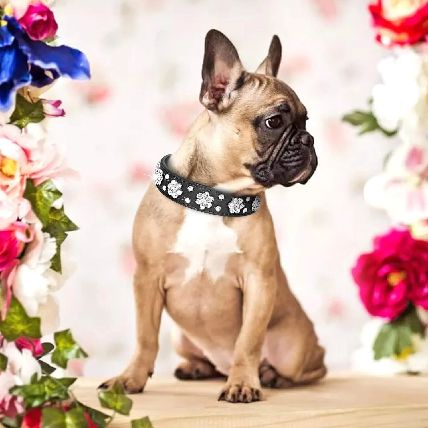 Close-up of a black PU leather dog collar with a sparkling rhinestone flower pattern and silver studs.