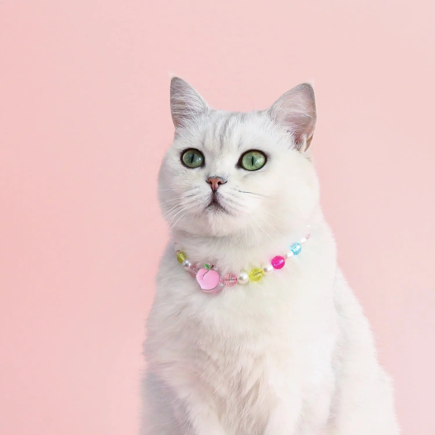 Colourful plastic pearl bead pet necklace with small flower pattern on adjustable strap